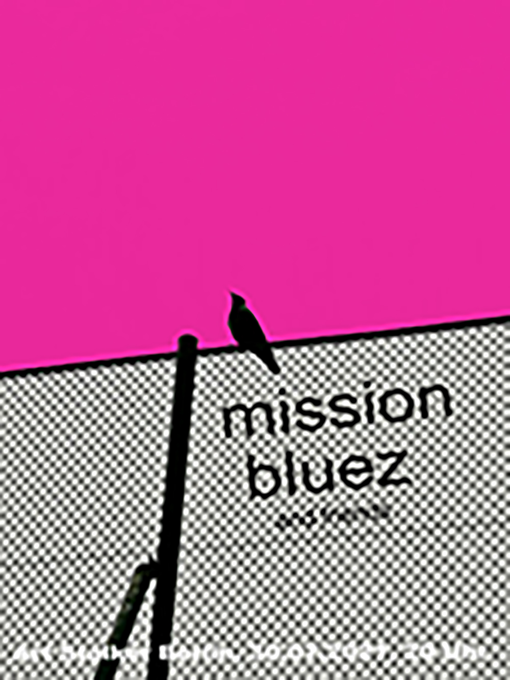 m_30.07.21-mission-bluez