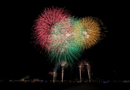 Einmalig in Europa – Fantasievolles japanisches Feuerwerk