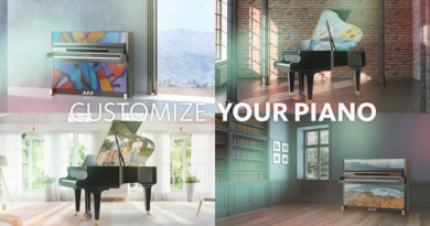 Schimmel Pianos Customized Art