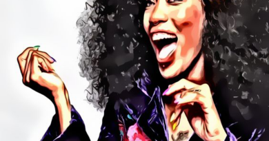 Ist bereits die Idee die Kunst oder das handwerkliche Können?