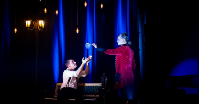 Seifenblasenshow öffnen die magische Welt