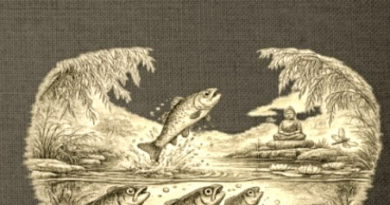 Die Forelle im Karpfenteich: Mit Hoffnung gegen den Strom