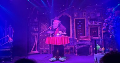 Zauberhafte Unterhaltung – Der Magic Park Verden