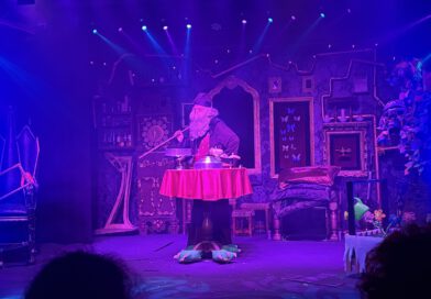 Zauberhafte Unterhaltung – Der Magic Park Verden