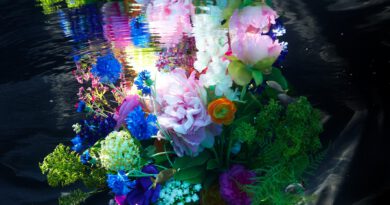 Erftstadt: Tag der offenen Tür im Atelierhaus der Unterwasser-Fotokünstlerin Gaby Fey