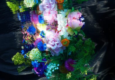 Erftstadt: Tag der offenen Tür im Atelierhaus der Unterwasser-Fotokünstlerin Gaby Fey