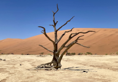 Letzte Chance: Namibia-Sonderreise 2026 mit dem KrautTrotter®-Team