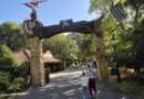 Von der Oma bis zum Enkel – Heidepark Resort unterhält jede Altersklasse